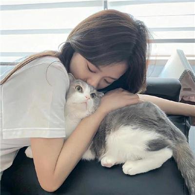 牛皮
